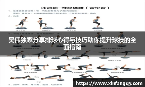 吴伟独家分享排球心得与技巧助你提升球技的全面指南